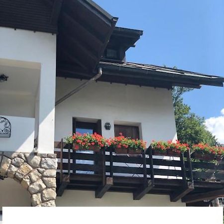 Ferienwohnung La Casa Di Monte Ricco Pieve di Cadore Exterior foto