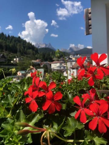 Ferienwohnung La Casa Di Monte Ricco Pieve di Cadore Exterior foto