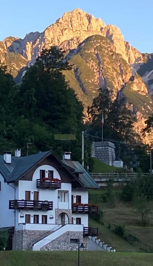 Ferienwohnung La Casa Di Monte Ricco Pieve di Cadore Exterior foto