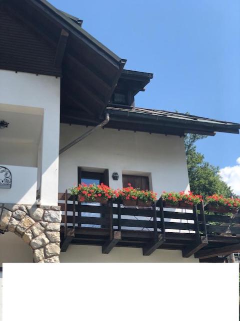 Ferienwohnung La Casa Di Monte Ricco Pieve di Cadore Exterior foto