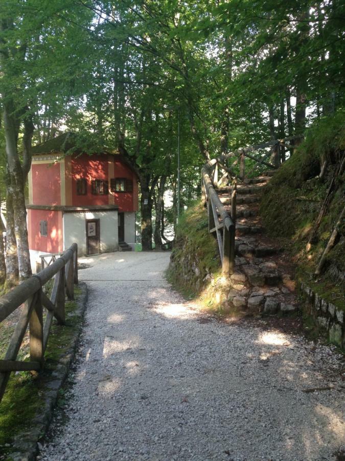 Ferienwohnung La Casa Di Monte Ricco Pieve di Cadore Exterior foto